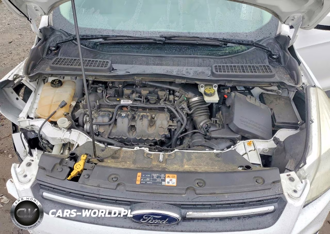 2015 Ford Escape Se VIN:1FMCU0G99FUB09432 - 12