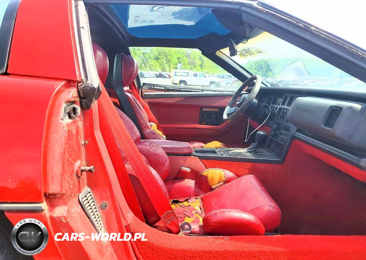1989 Chevrolet Corvette VIN:1G1YY2185K5117874 - 10