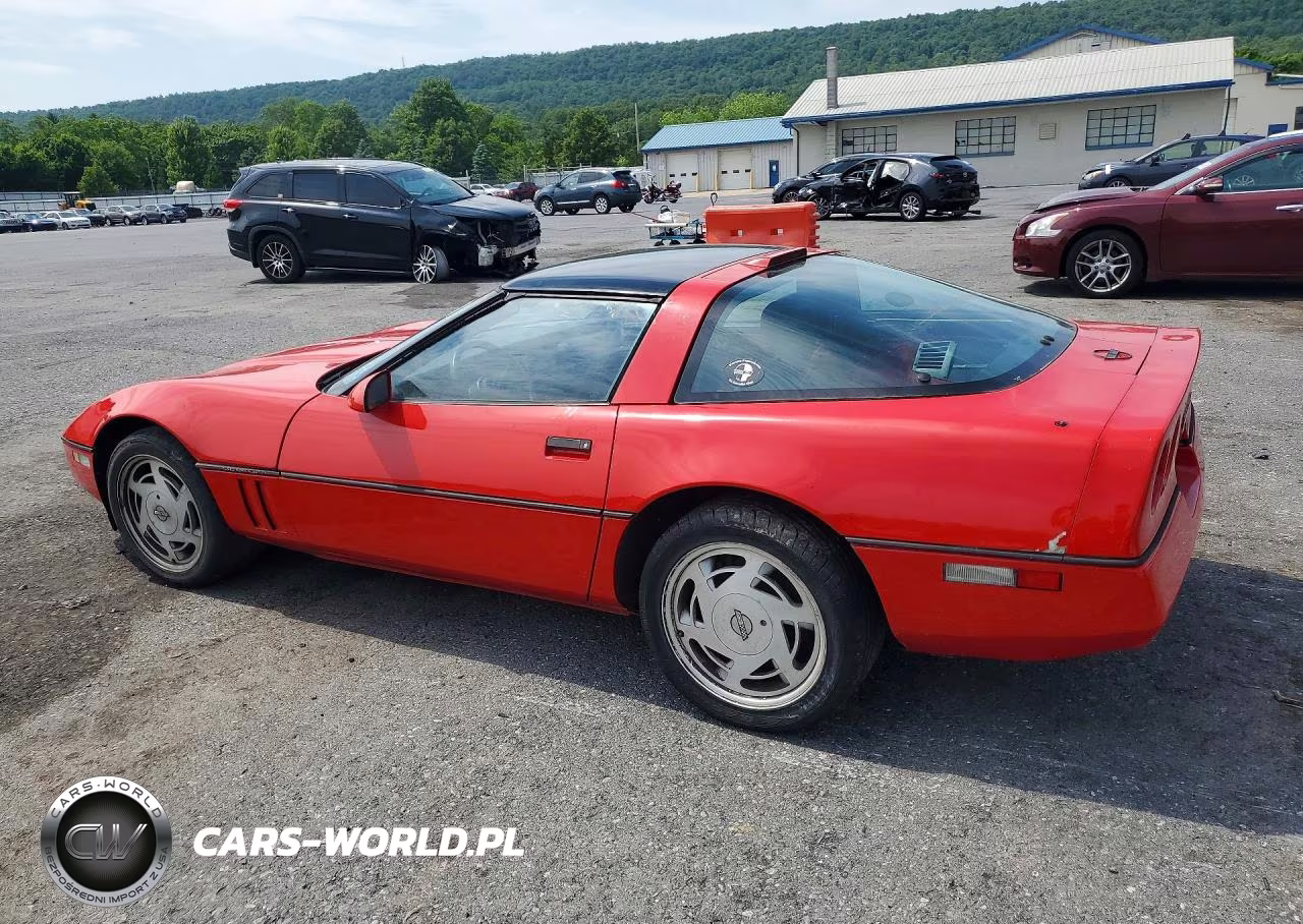 1989 Chevrolet Corvette VIN:1G1YY2185K5117874 - 2