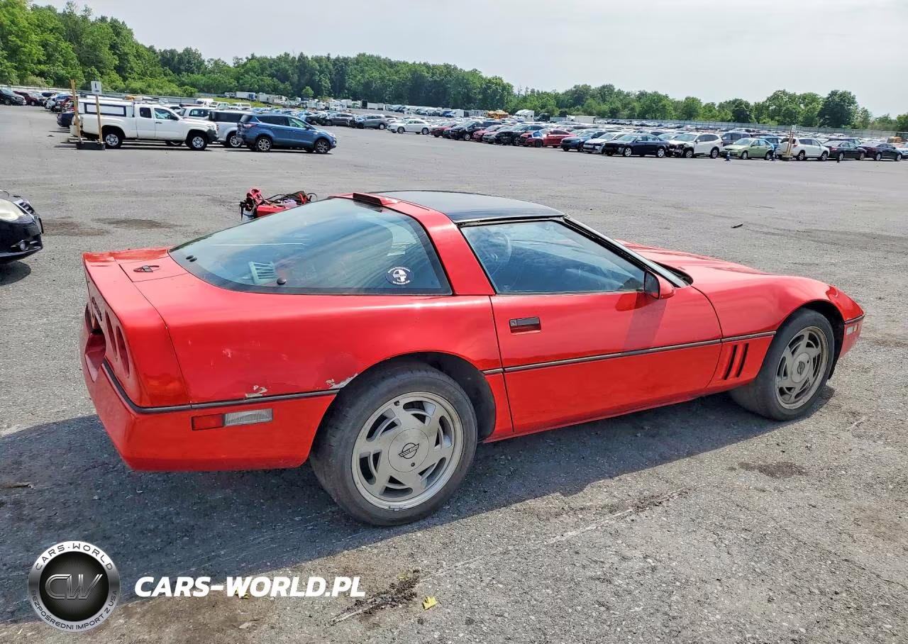 1989 Chevrolet Corvette VIN:1G1YY2185K5117874 - 3