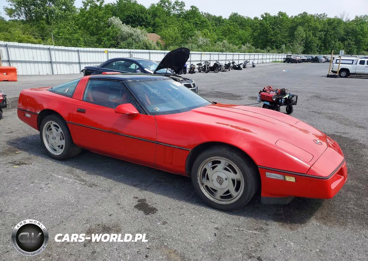 1989 Chevrolet Corvette VIN:1G1YY2185K5117874 - 4