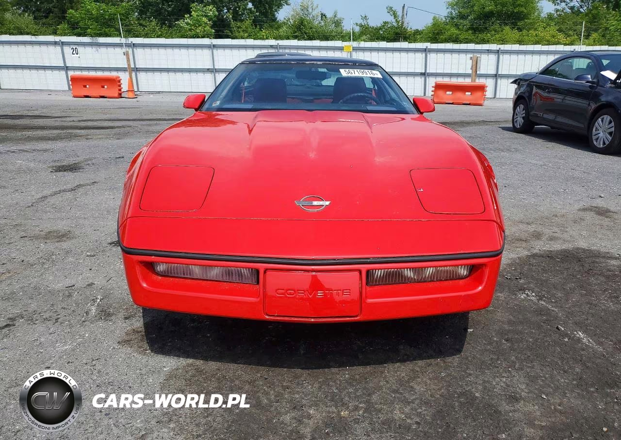 1989 Chevrolet Corvette VIN:1G1YY2185K5117874 - 5