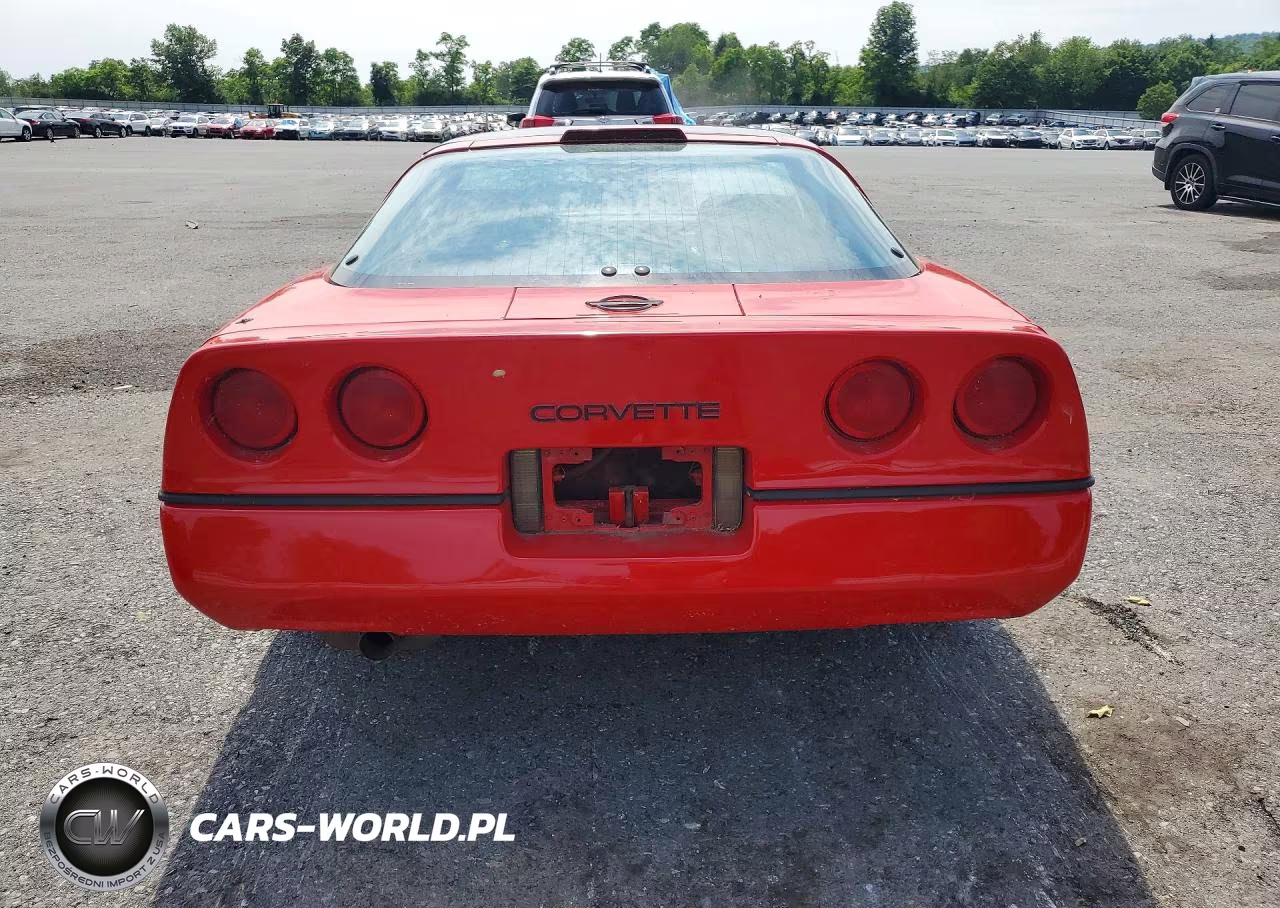 1989 Chevrolet Corvette VIN:1G1YY2185K5117874 - 6