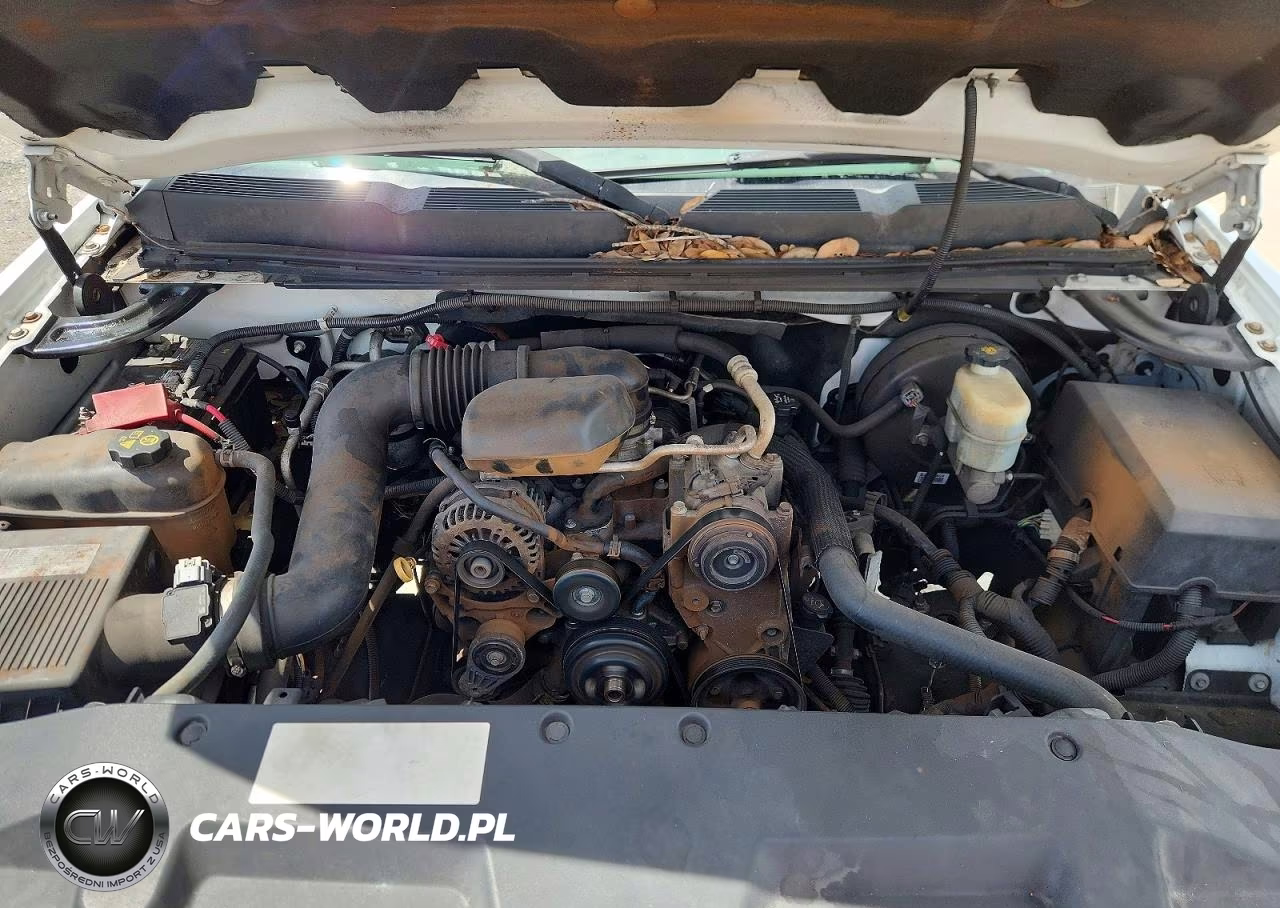 2012 Chevrolet Silverado C1500 VIN:1GCNCPEX0CZ127701 - 11