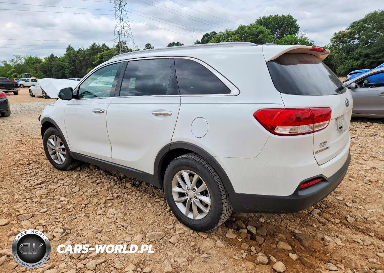 2016 Kia Sorento Lx VIN:5XYPG4A39GG135198 - 2