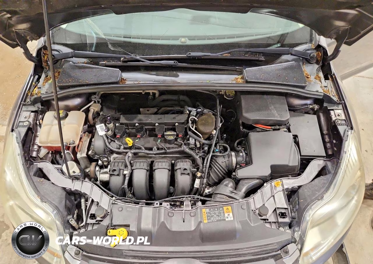 2014 Ford Focus Se VIN:1FADP3K21EL386002 - 11