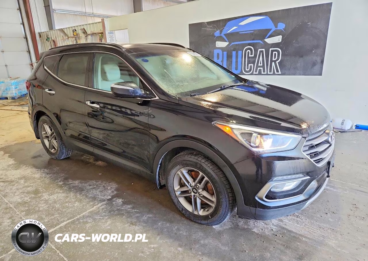 2017 Hyundai Santa Fe Sport 2.4L VIN:5XYZUDLB2HG485425 - 4