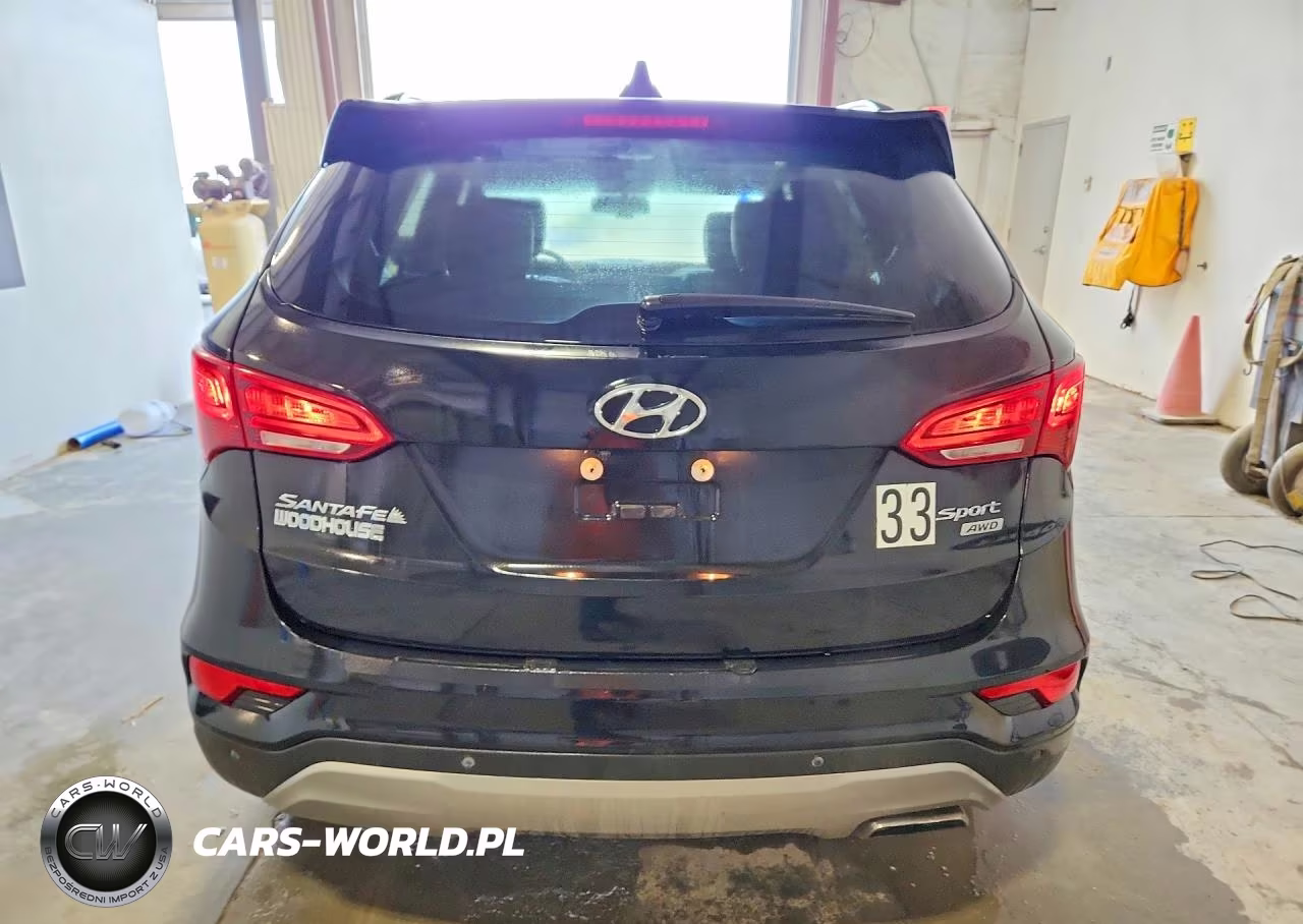 2017 Hyundai Santa Fe Sport 2.4L VIN:5XYZUDLB2HG485425 - 6