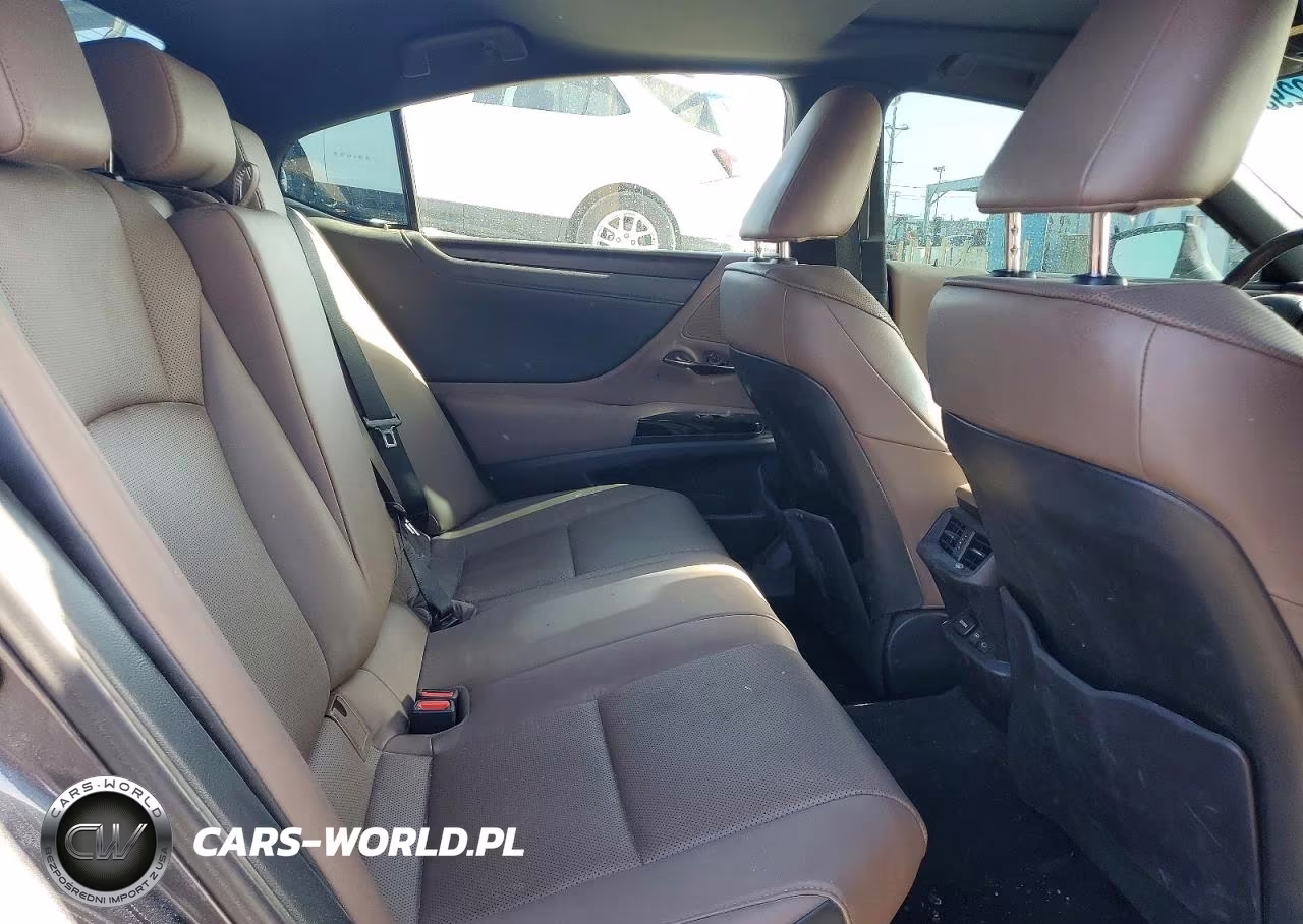 2023 Lexus Es 300H Base VIN:58ADA1C1XPU030526 - 10