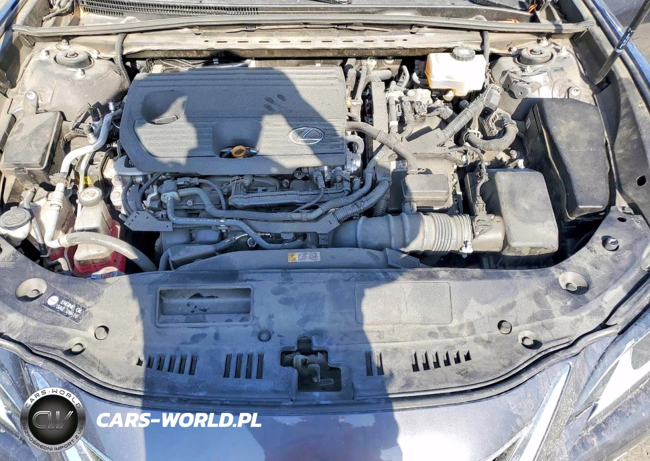 2023 Lexus Es 300H Base VIN:58ADA1C1XPU030526 - 11