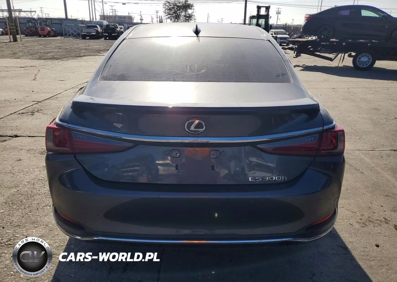2023 Lexus Es 300H Base VIN:58ADA1C1XPU030526 - 6