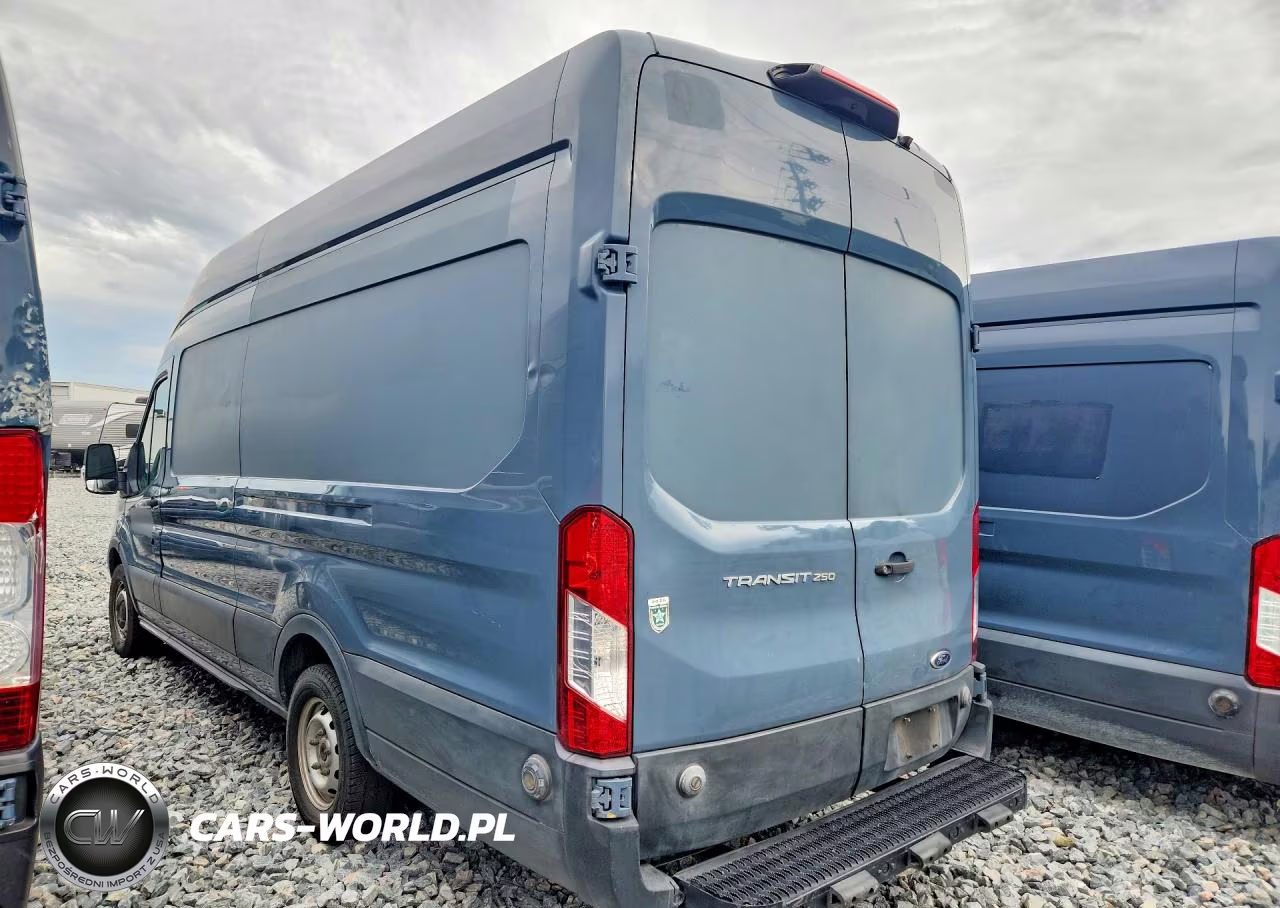 2019 Ford Transit 250 Delivery Van VIN:1FTYR3XM6KKB73919 - 2