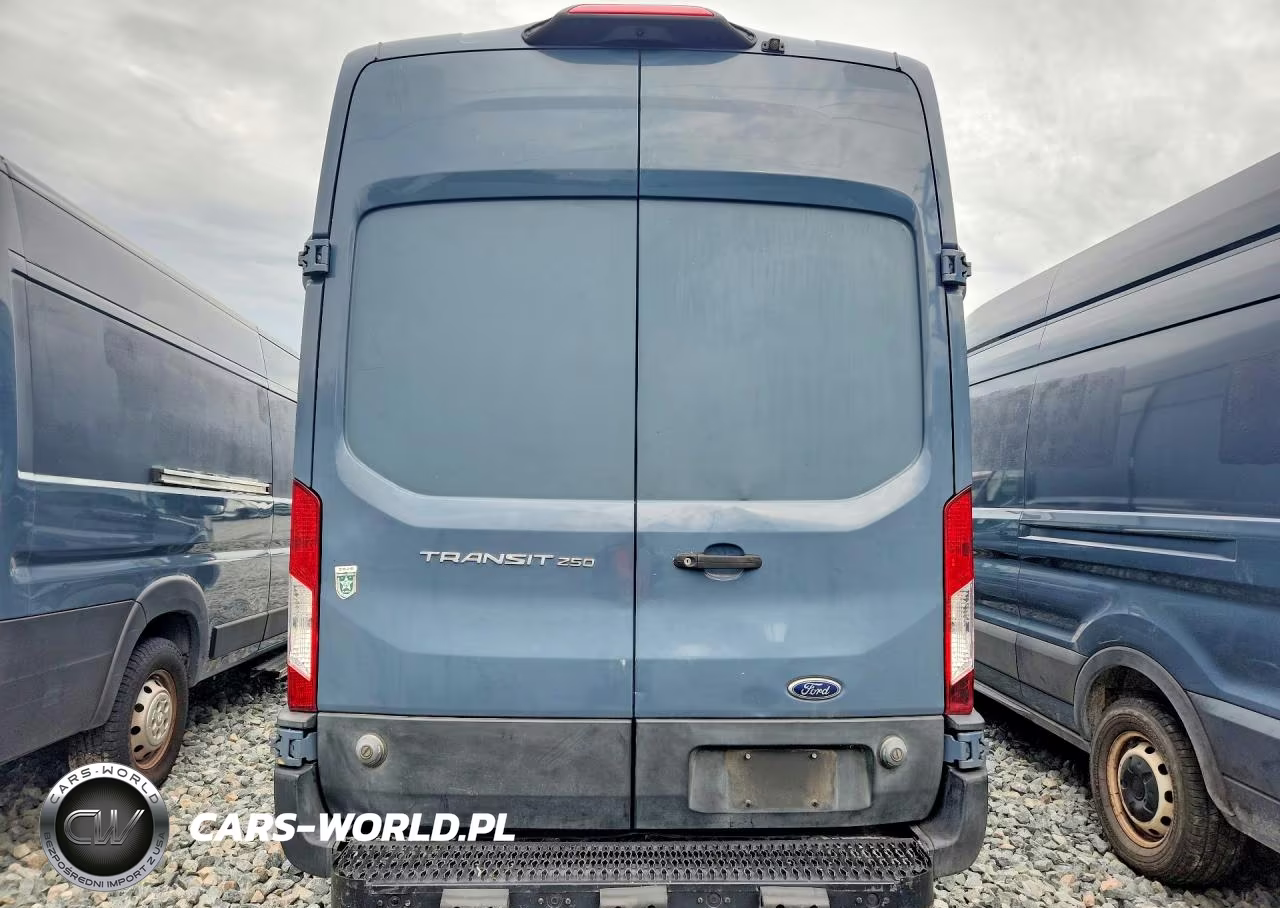 2019 Ford Transit 250 Delivery Van VIN:1FTYR3XM6KKB73919 - 6