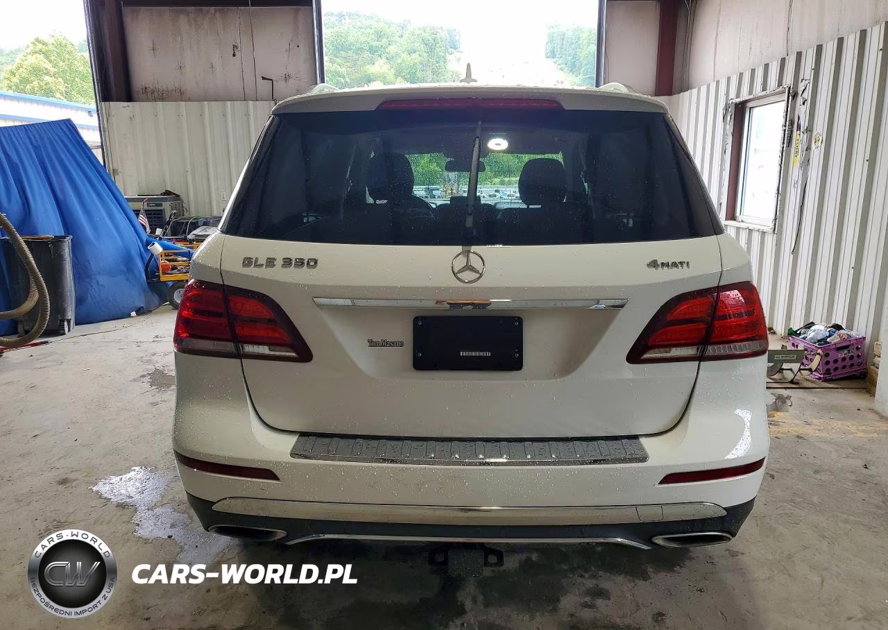 2017 Mercedes-Benz Gle 350 4Matic VIN:4JGDA5HB9HA894745 - 6