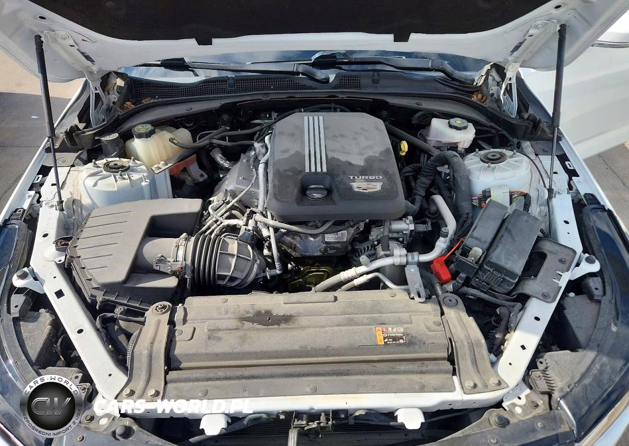 2022 Cadillac Ct4 Luxury VIN:1G6DA5RK1N0136440 - 11