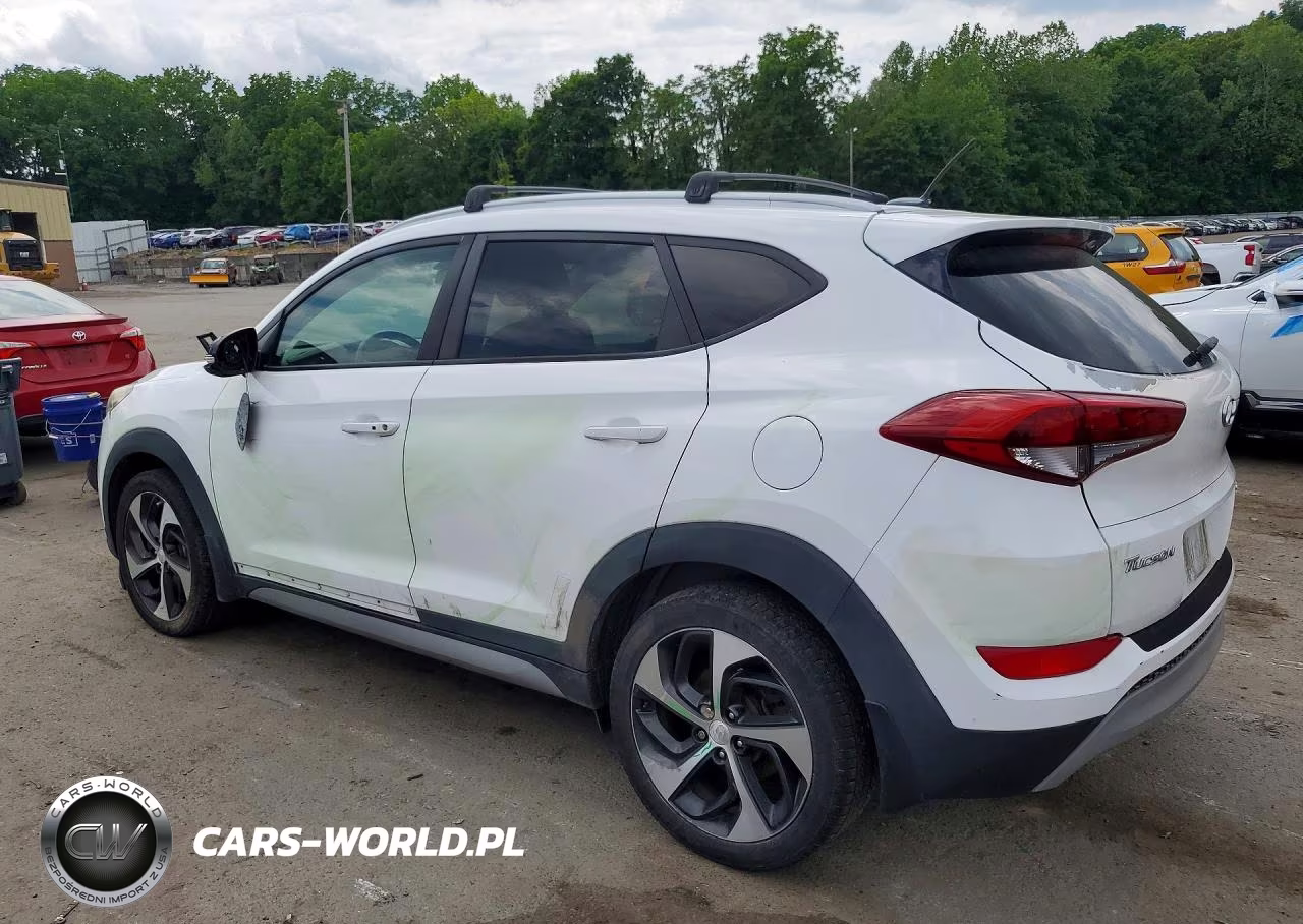2017 Hyundai Tucson Sport VIN:KM8J3CA2XHU330435 - 2