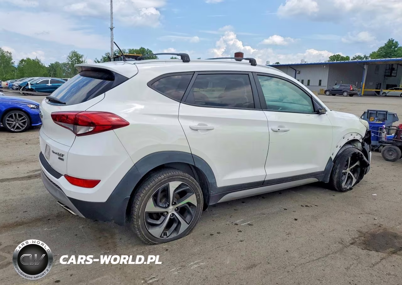 2017 Hyundai Tucson Sport VIN:KM8J3CA2XHU330435 - 3