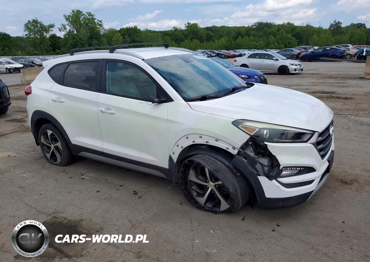 2017 Hyundai Tucson Sport VIN:KM8J3CA2XHU330435 - 4