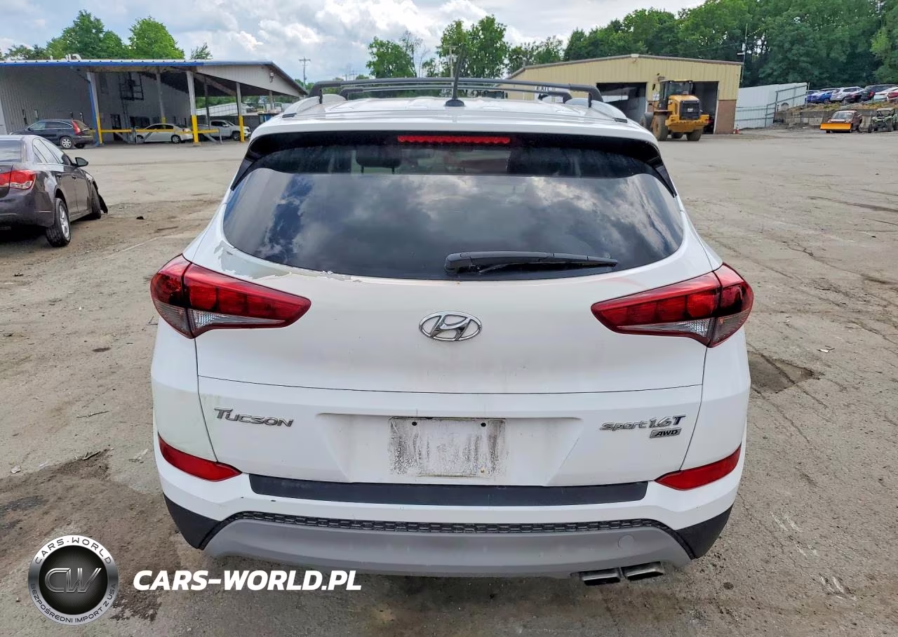 2017 Hyundai Tucson Sport VIN:KM8J3CA2XHU330435 - 6