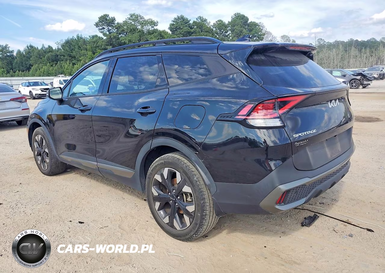 2023 Kia Sportage X Line VIN:5XYK6CAF1PG123483 - 2