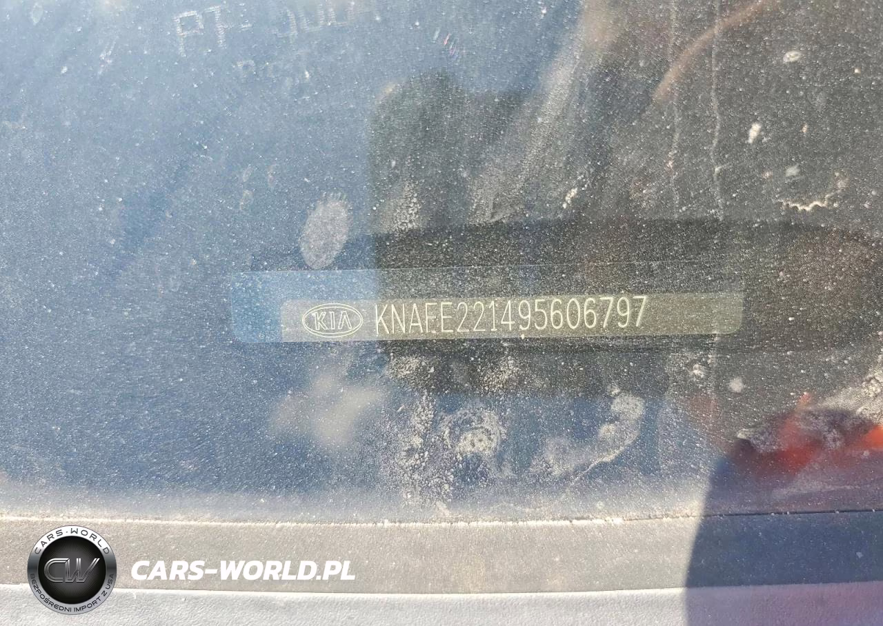 2009 Kia Spectra Ex-Lx-Sx VIN:KNAFE221495606797 - 12
