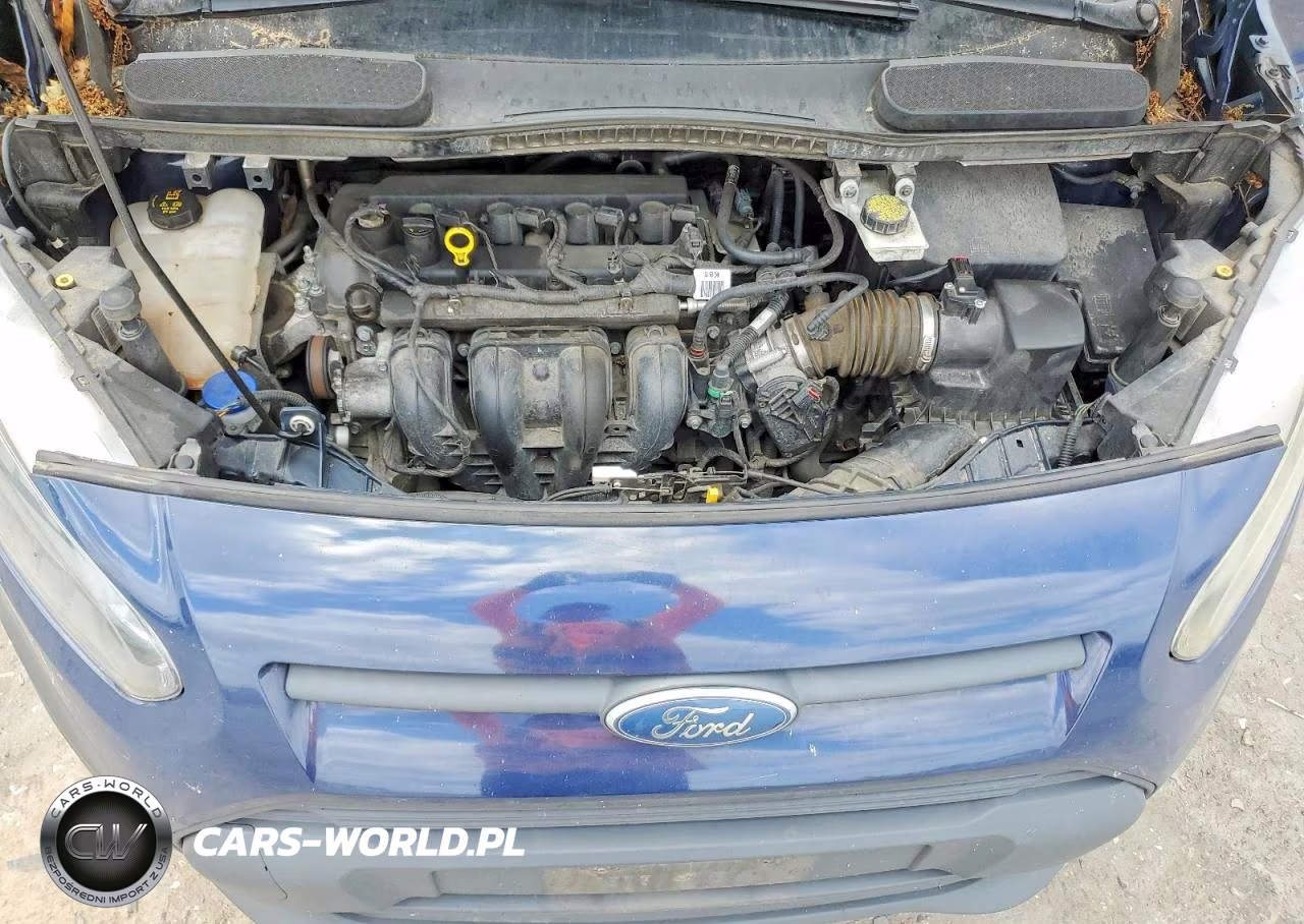 2017 Ford Transit Connect VIN:NM0LS7E75H1298571 - 12