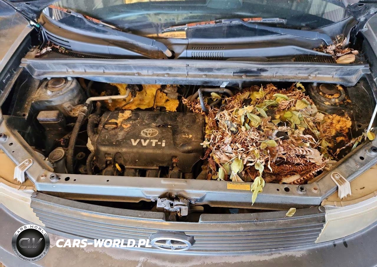 2006 Toyota Scion Xb VIN:JTLKT334X64052001 - 11