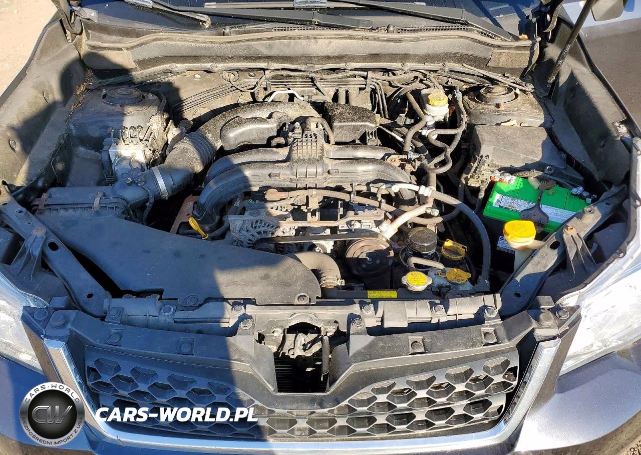 2015 Subaru Forester 2.5I VIN:JF2SJABC7FH470489 - 12