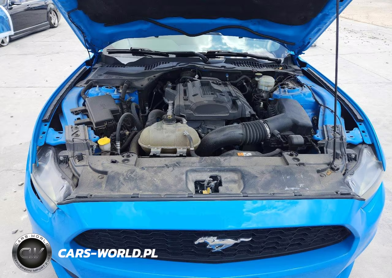 2017 Ford Mustang VIN:1FA6P8TH9H5231683 - 11