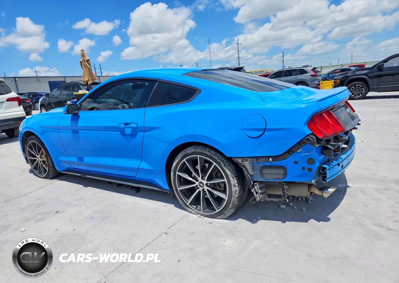 2017 Ford Mustang VIN:1FA6P8TH9H5231683 - 2