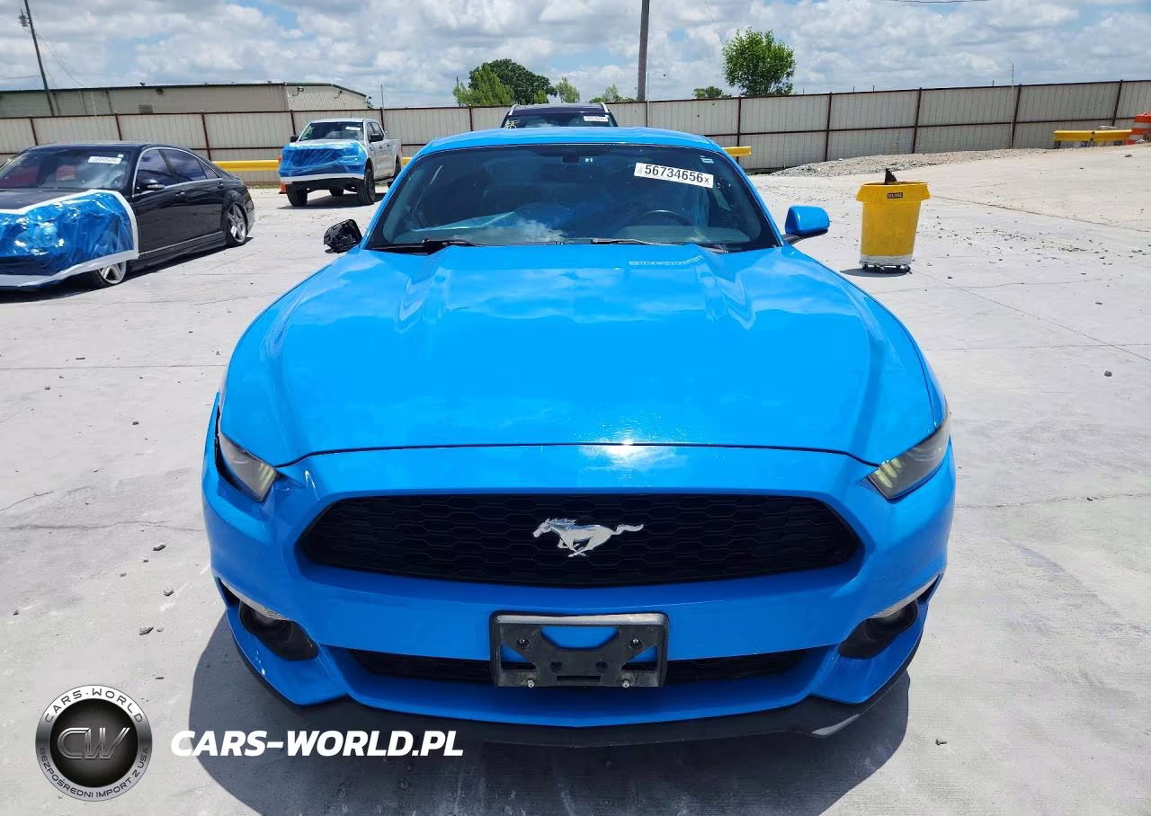 2017 Ford Mustang VIN:1FA6P8TH9H5231683 - 5