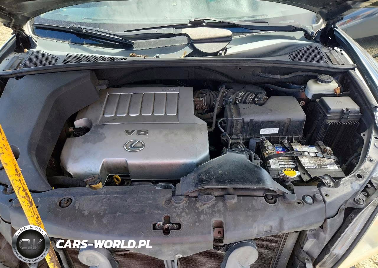 2009 Lexus Rx 350 VIN:2T2HK31U19C124888 - 12