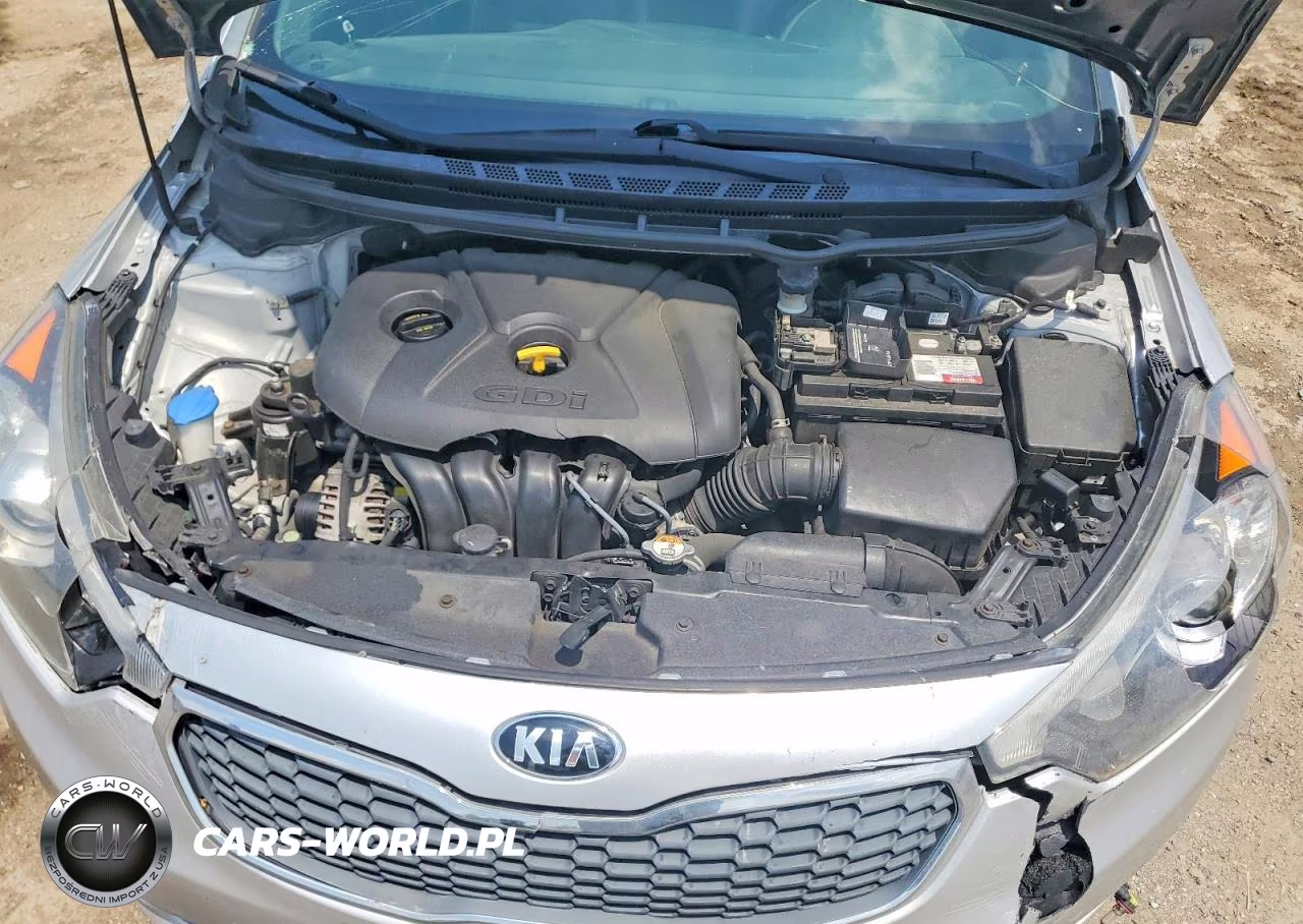 2016 Kia Forte Ex VIN:KNAFZ4A85G5569951 - 11