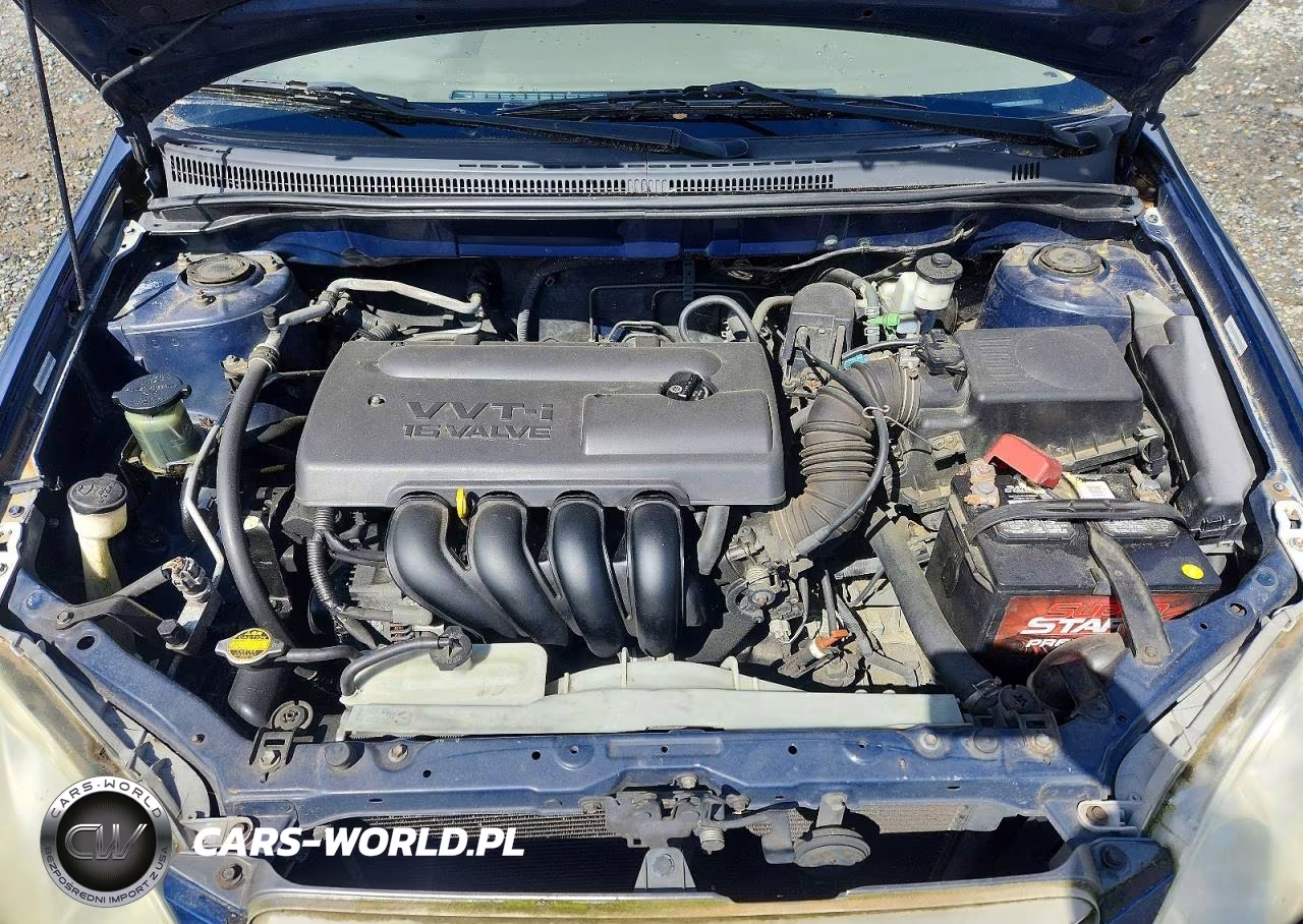 2004 Toyota Corolla Le VIN:1NXBR38E54Z312700 - 11