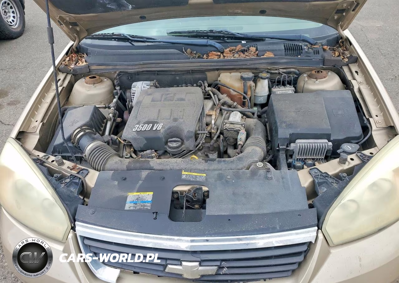 2006 Chevrolet Malibu Maxx Lt VIN:1G1ZT61846F228538 - 11