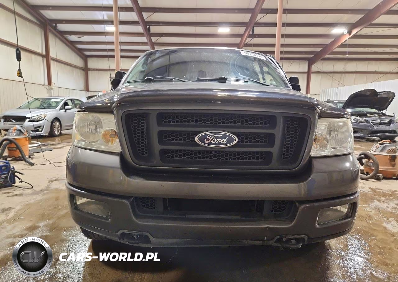 2004 Ford F150 VIN:1FTRX14W64NC06861 - 5