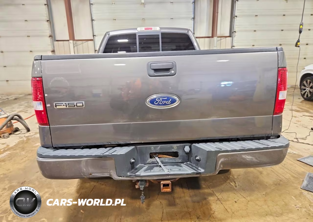 2004 Ford F150 VIN:1FTRX14W64NC06861 - 6