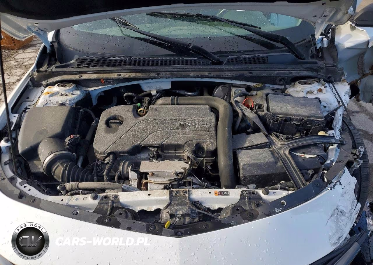 2019 Chevrolet Malibu Rs VIN:1G1ZG5ST1KF206573 - 11