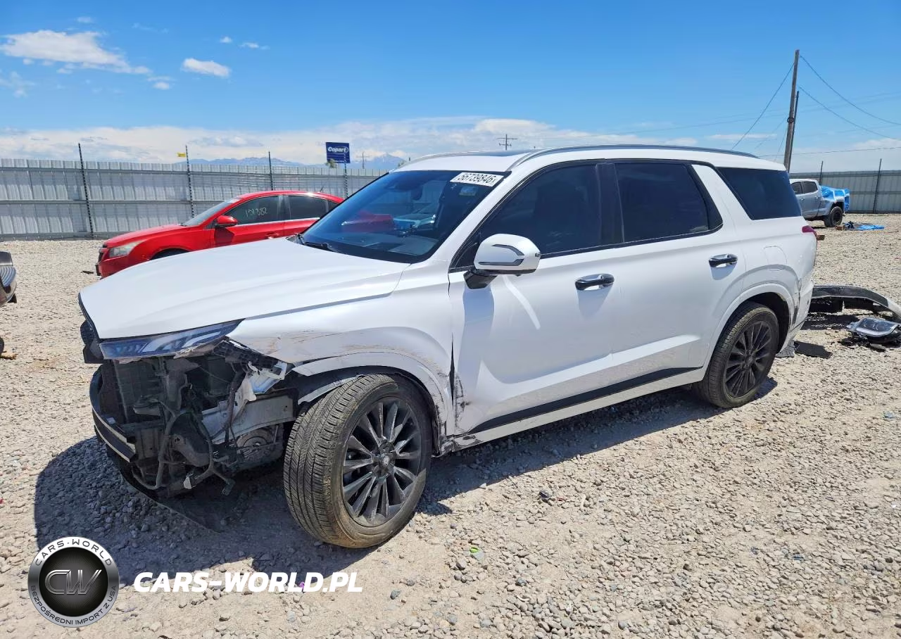 2020 Hyundai Palisade Limited – zdjęcie 1 z 13