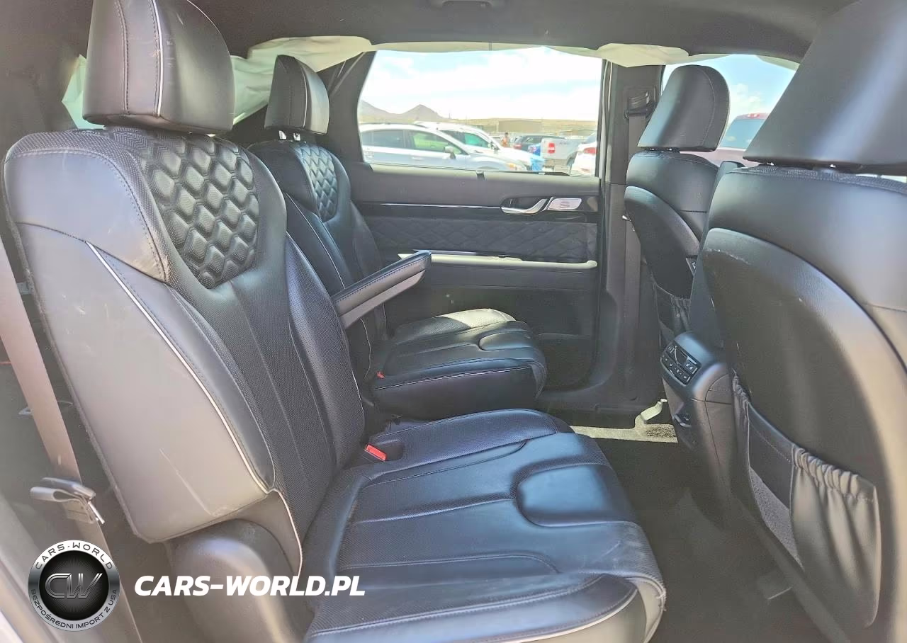 2020 Hyundai Palisade Limited VIN:KM8R5DHEXLU044919 - 10