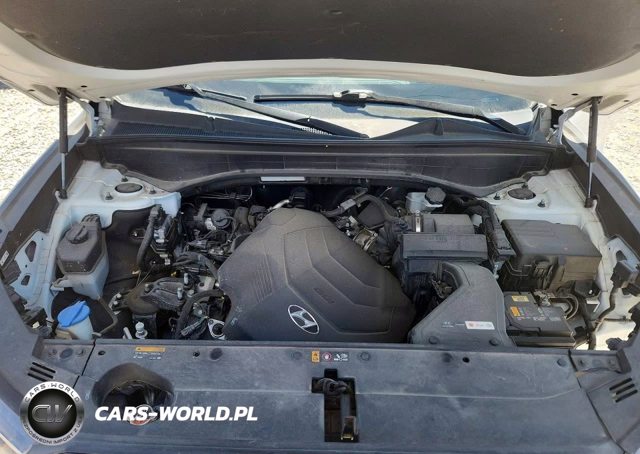 2020 Hyundai Palisade Limited VIN:KM8R5DHEXLU044919 - 11