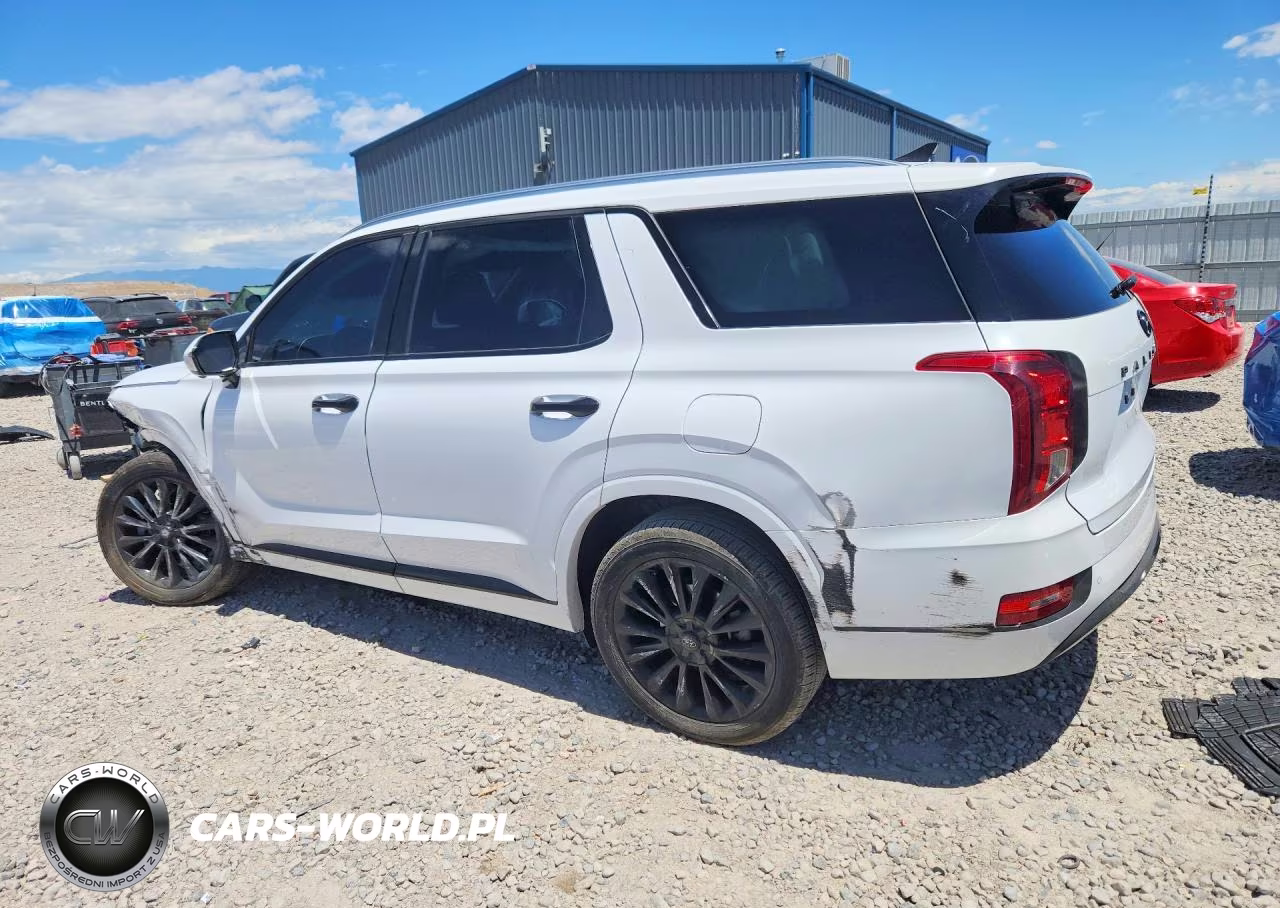 2020 Hyundai Palisade Limited VIN:KM8R5DHEXLU044919 - 2