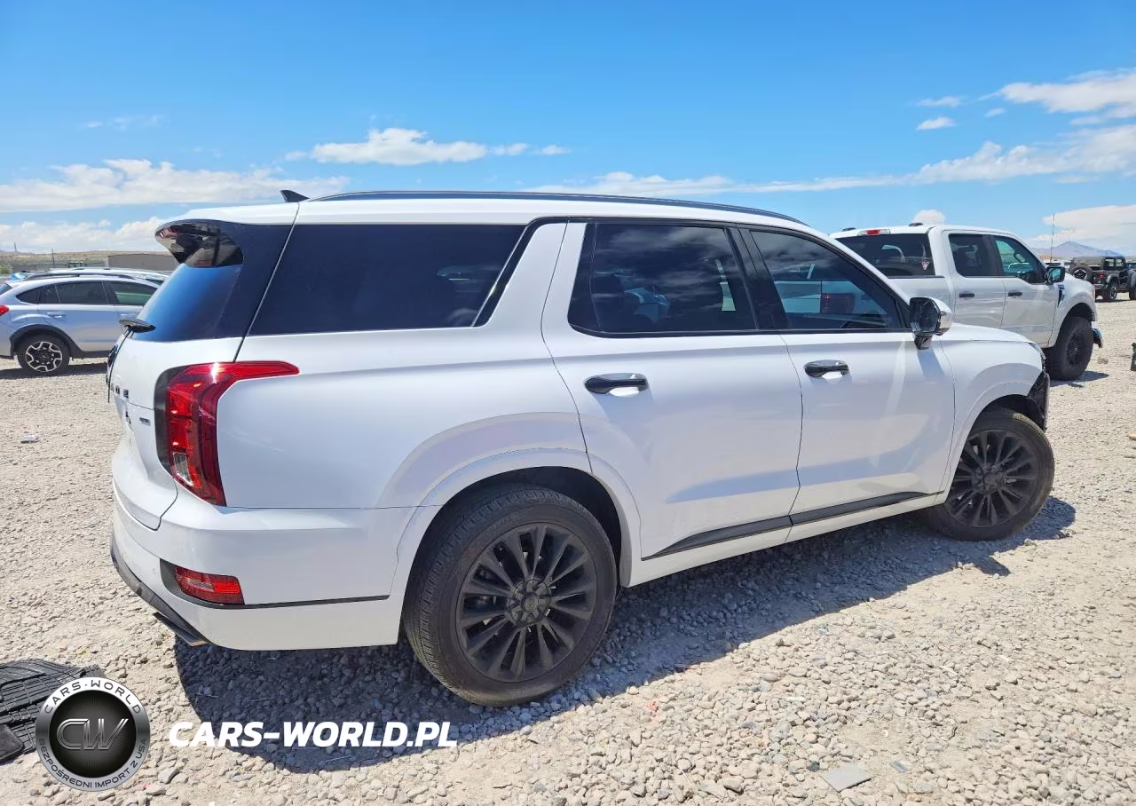2020 Hyundai Palisade Limited VIN:KM8R5DHEXLU044919 - 3