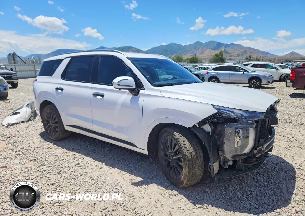 2020 Hyundai Palisade Limited VIN:KM8R5DHEXLU044919 - 4