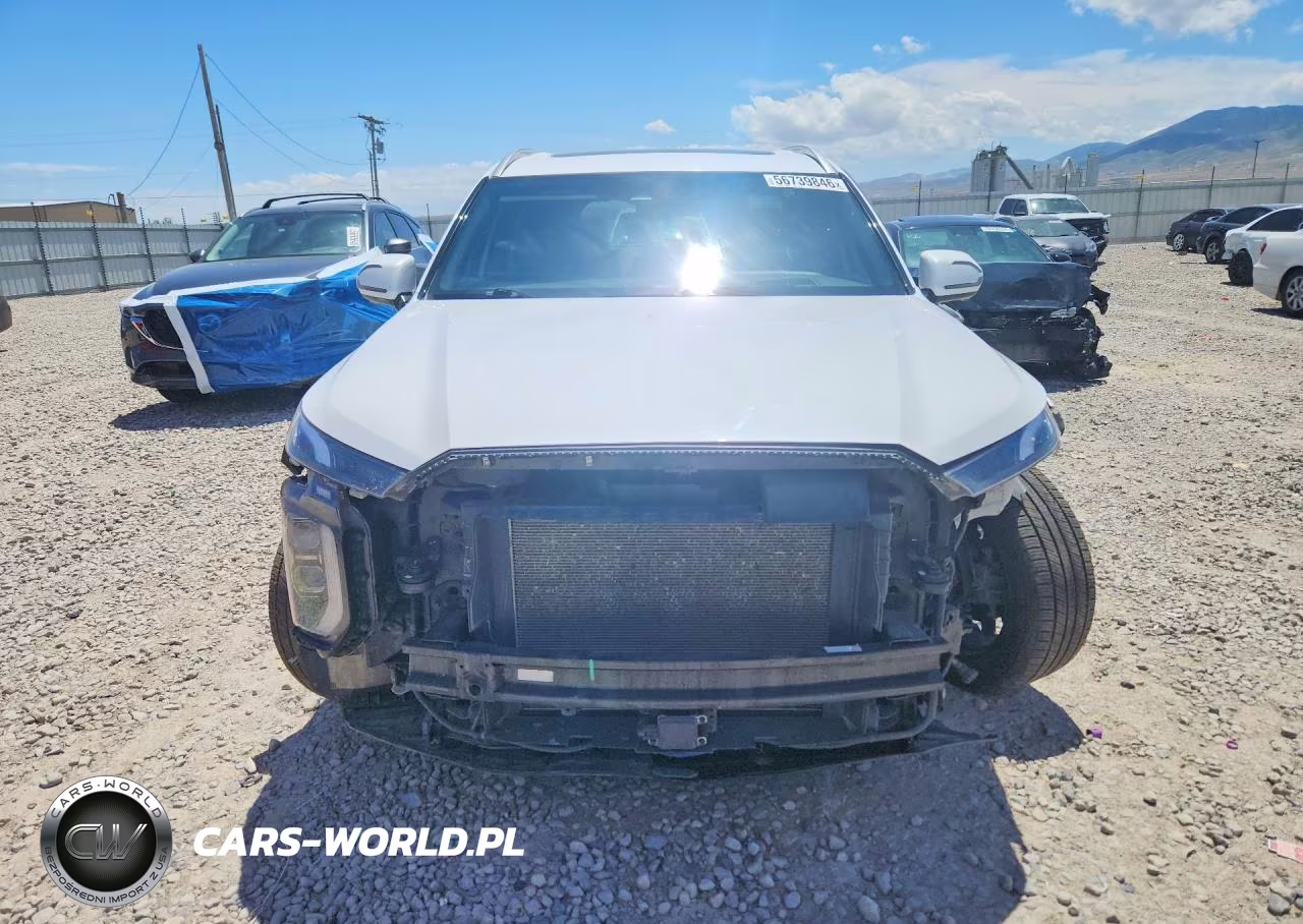 2020 Hyundai Palisade Limited VIN:KM8R5DHEXLU044919 - 5