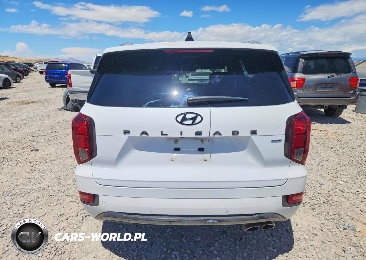 2020 Hyundai Palisade Limited VIN:KM8R5DHEXLU044919 - 6
