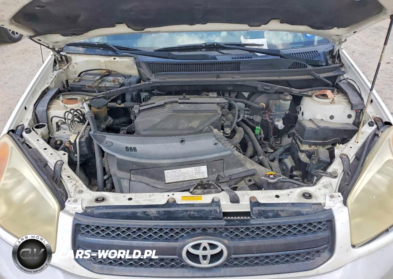 2004 Toyota Rav4 Base VIN:JTEGD20V640003383 - 11