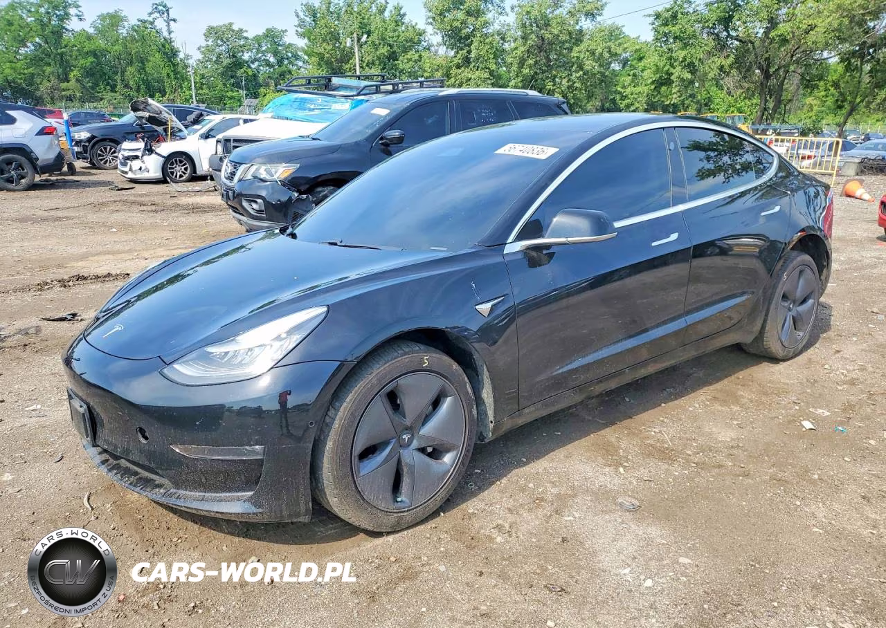 2019 Triumph Car Model 3