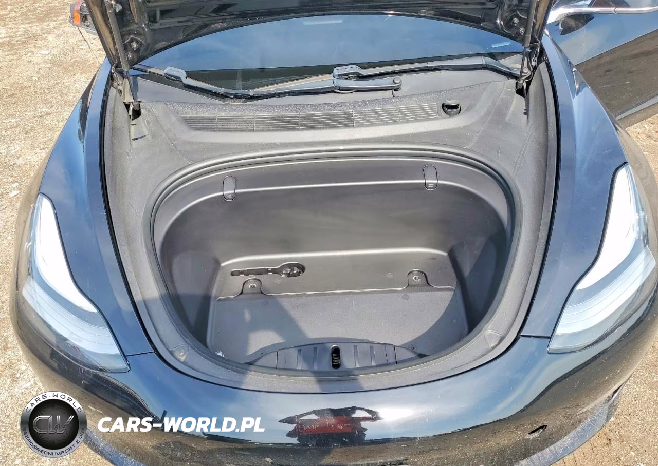 2019 Triumph Car Model 3 VIN:5YJ3E1EA2KF395390 - 11