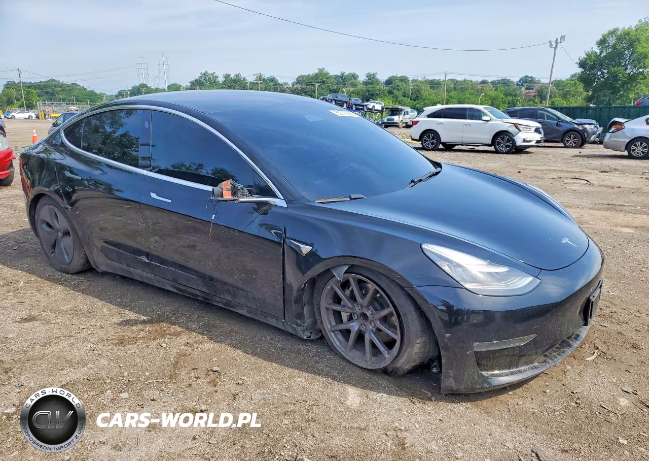 2019 Triumph Car Model 3 VIN:5YJ3E1EA2KF395390 - 4